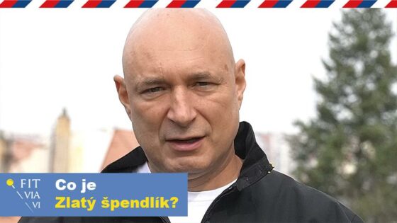Co je – Zlatý Špendlík?